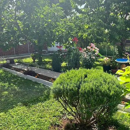 Studio Apartment Corina Rijeka