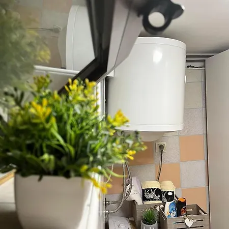 Apartment Studio Apartment Corina *